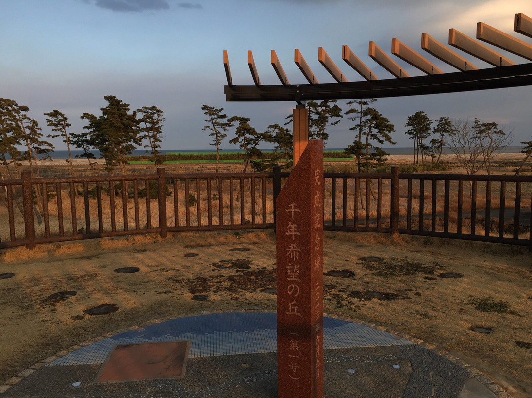 Millennium Hope Hills-岩沼市必去景点