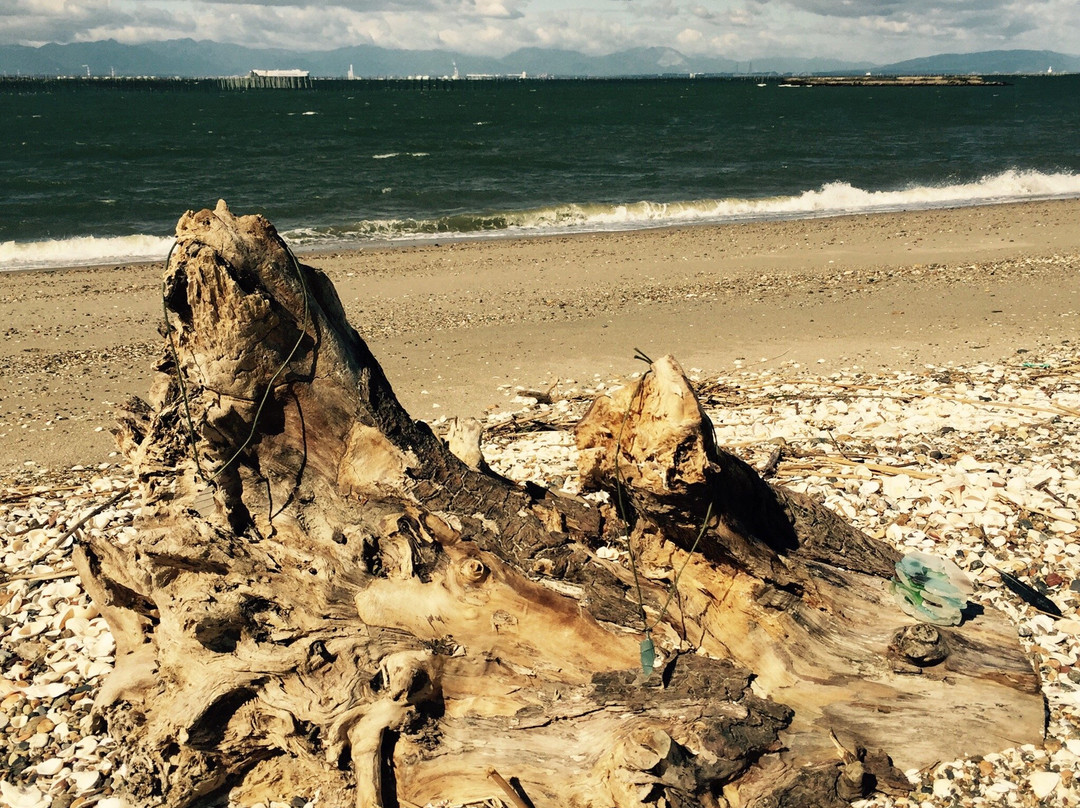 Taya Beach-常滑市必去景点