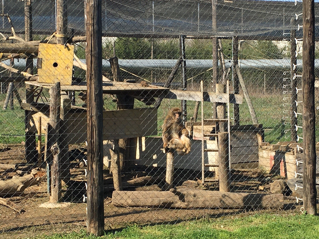 Riudellots de la Selva旅游攻略图片