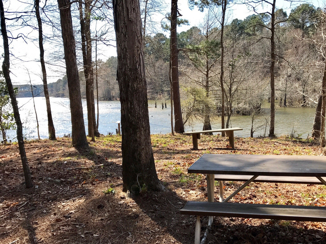 North Toledo Bend State Park景点图片