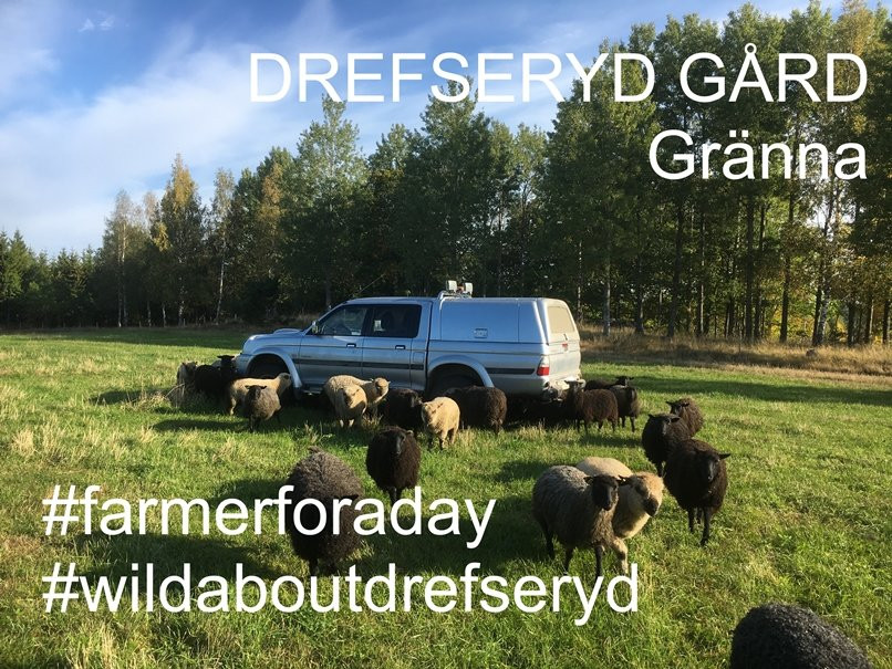 Granna旅游景点-Drefseryd Gard