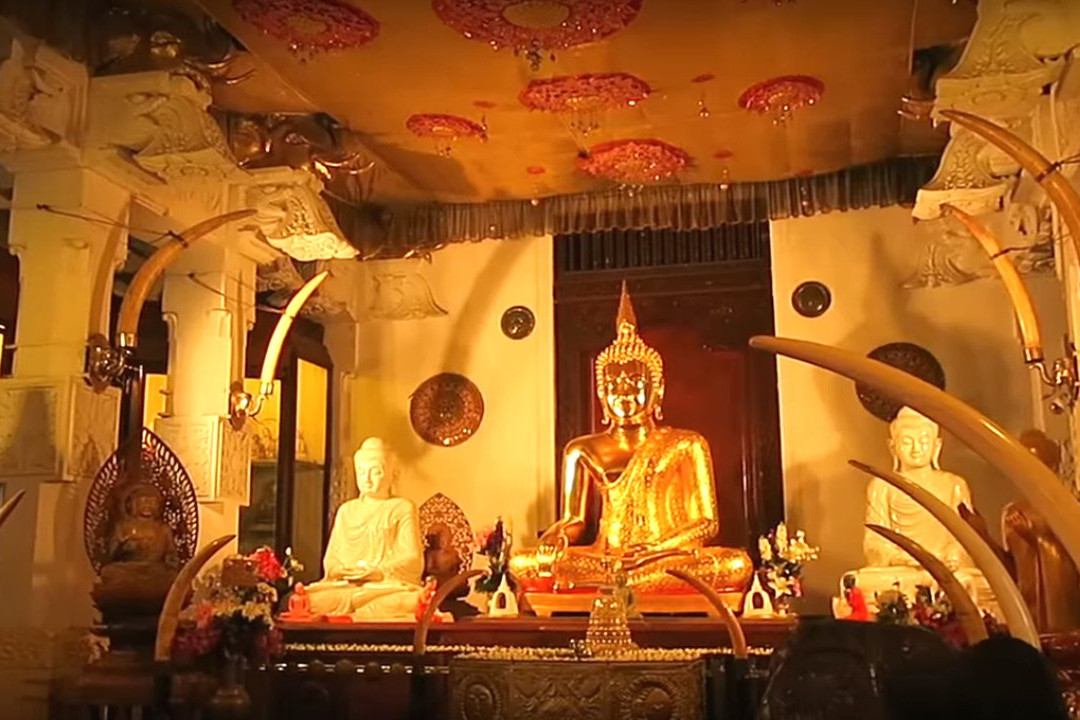 Seerendipity Tours and Travels - Day Tours-Panadura必去景点