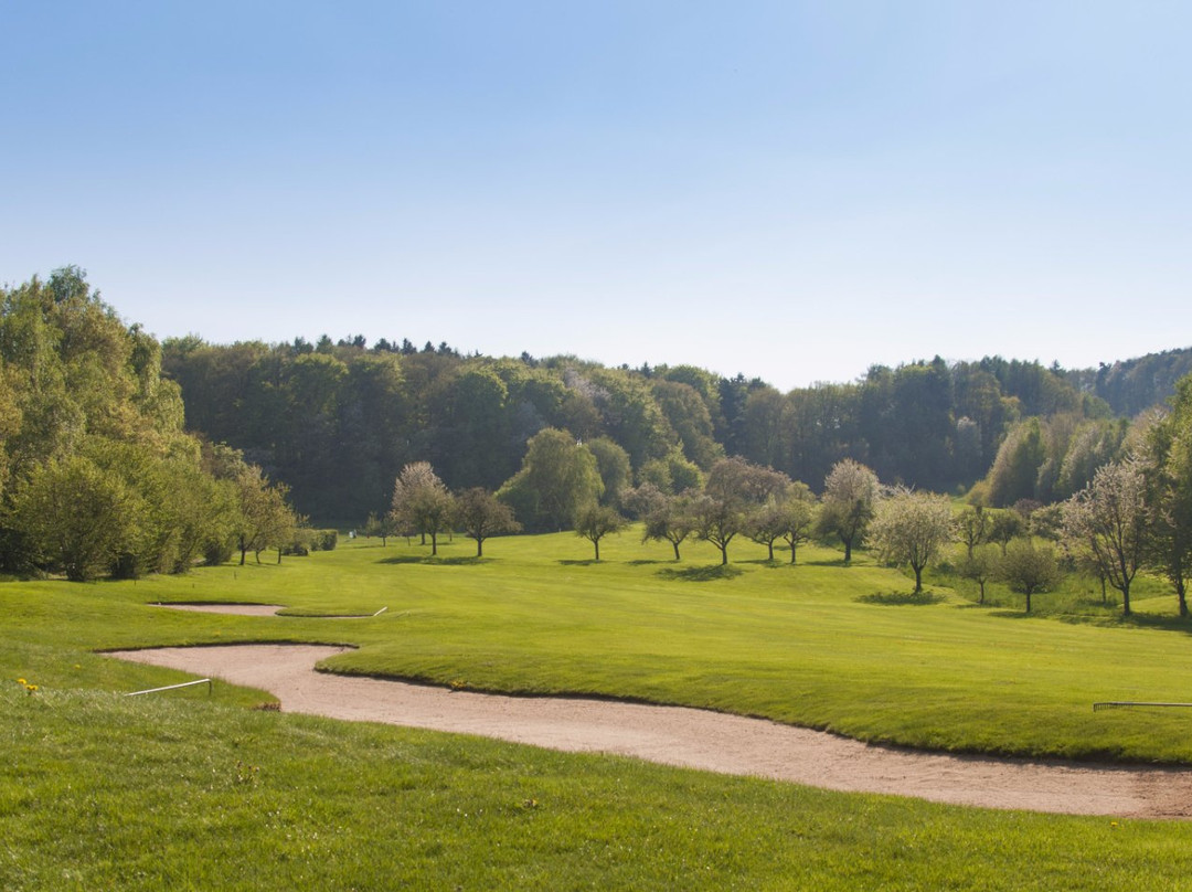 Golfclub Odenwald景点图片