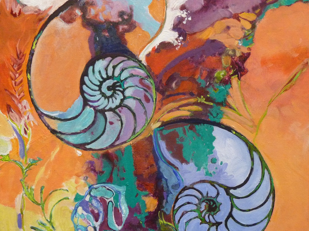 Amelia SanJon Gallery-费尔南迪纳岛必去景点