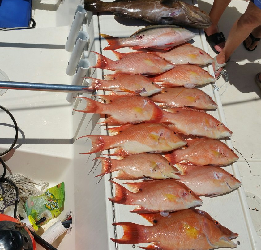 GoKeysFishing-伊斯拉摩拉达必去景点