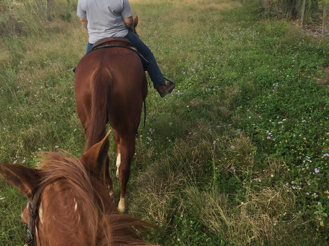 Redland Equestrian Center-霍姆斯特德必去景点