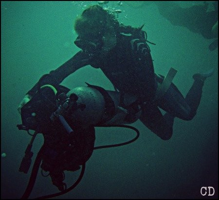 Caribbean Diving-位于塔甘加必去景点