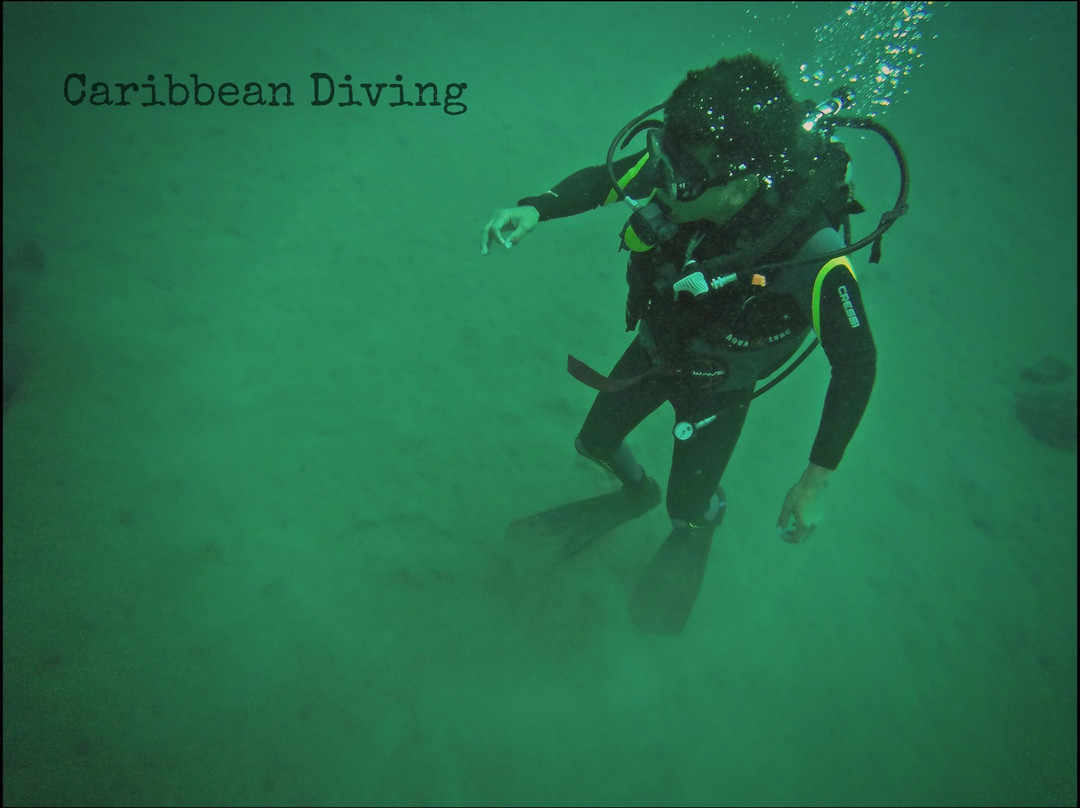 Caribbean Diving-位于塔甘加必去景点