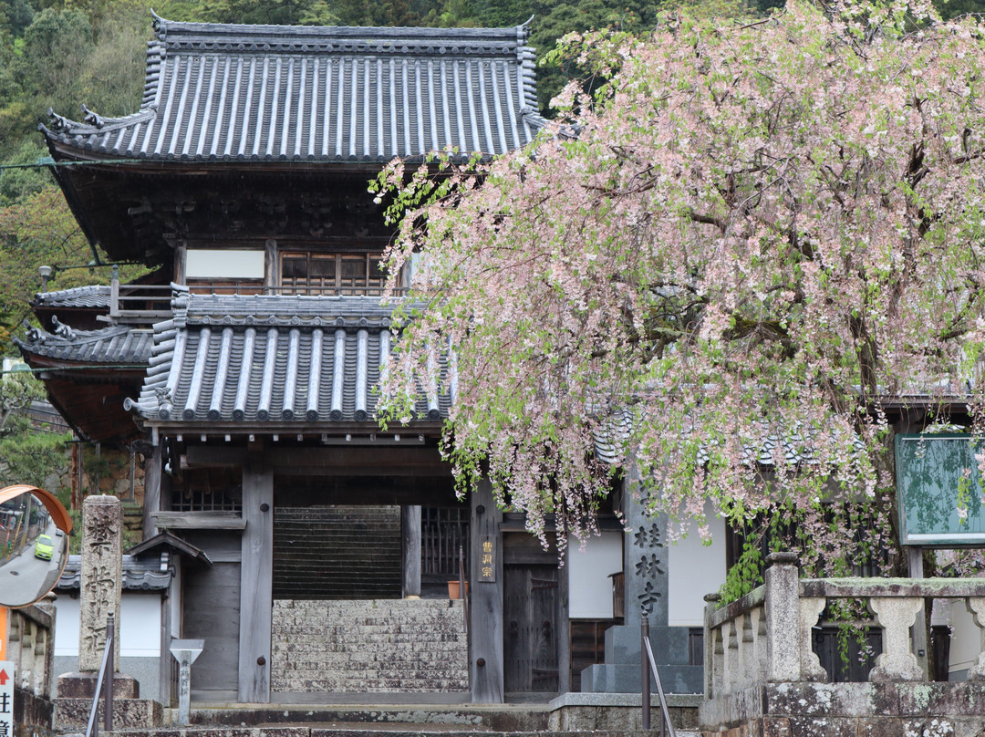 Keirinji Temple-舞鹤市必去景点
