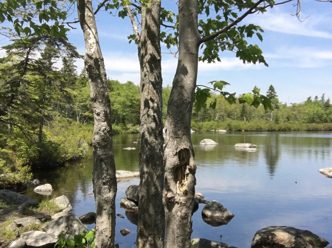 Long Lake Provincial Park-哈利法克斯必去景点