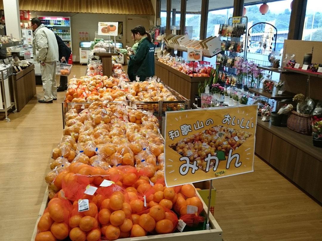 Michi no Eki Katsuragi Nishi-葛城町必去景点
