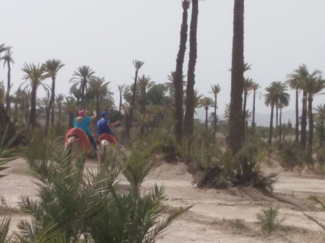 Atlas Mountain Excursions-Ait Azzi必去景点