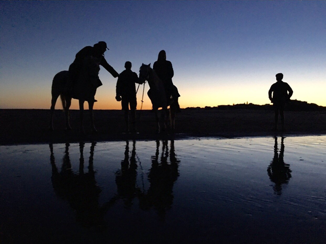 Mild2Wild Adventures-杰佛瑞湾必去景点