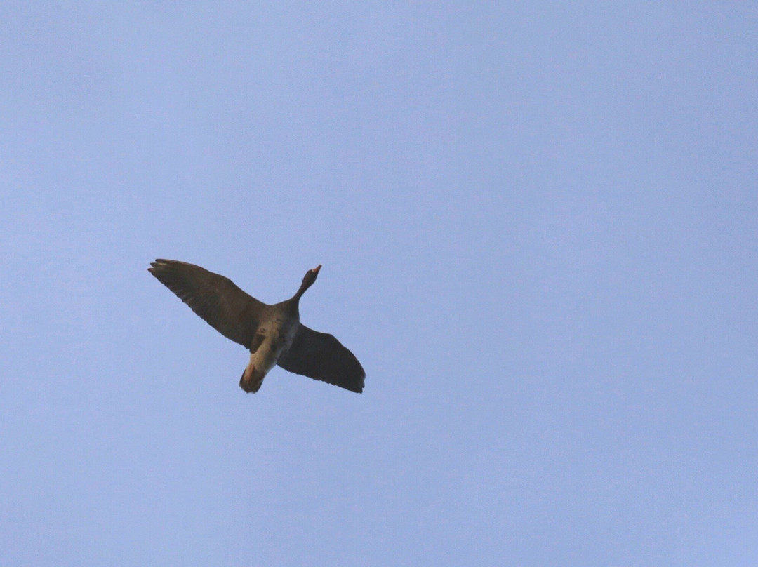 Miyajimanuma-美呗市必去景点