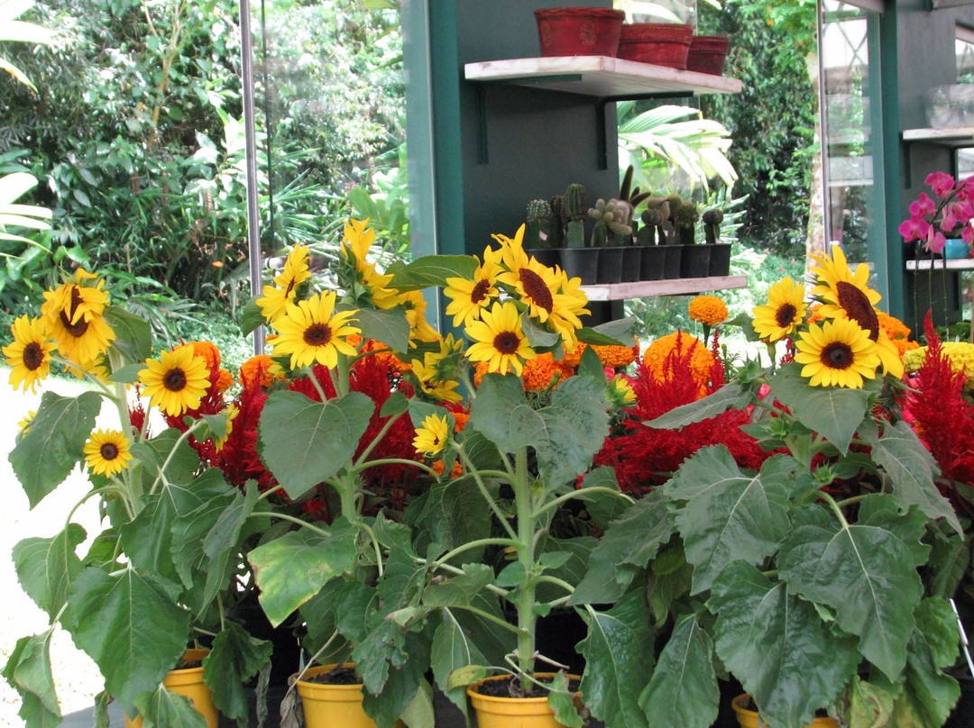 特雷索波利斯旅游景点-Arabotânica