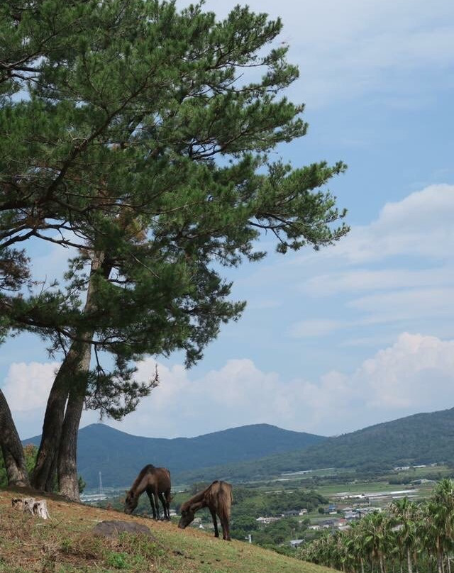 Kaimon Sanroku Nature Park-指宿市必去景点