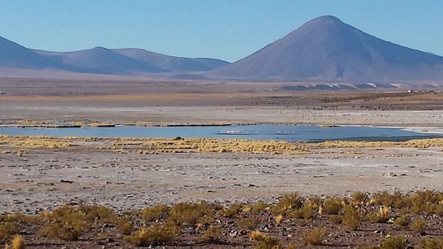 Salar de Coposa-Pica必去景点