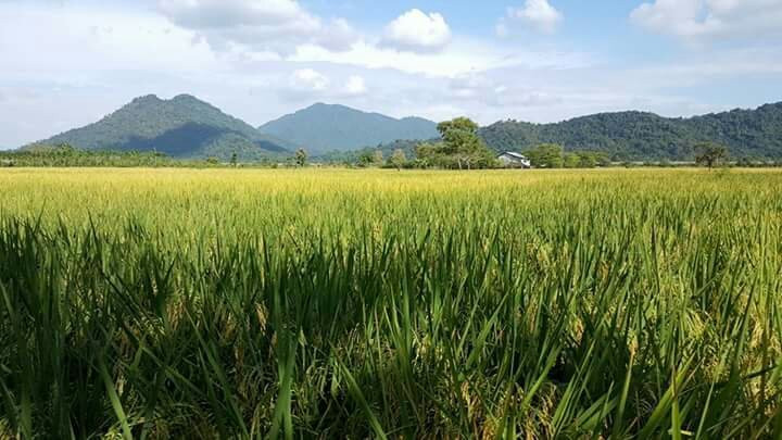 Manglares Churute Ecological Reserve-Posorja必去景点