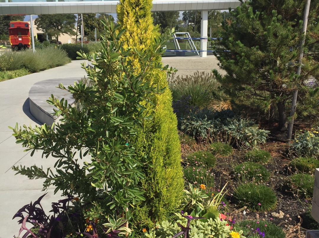 Cross Kirkland Corridor Trail-柯克兰必去景点