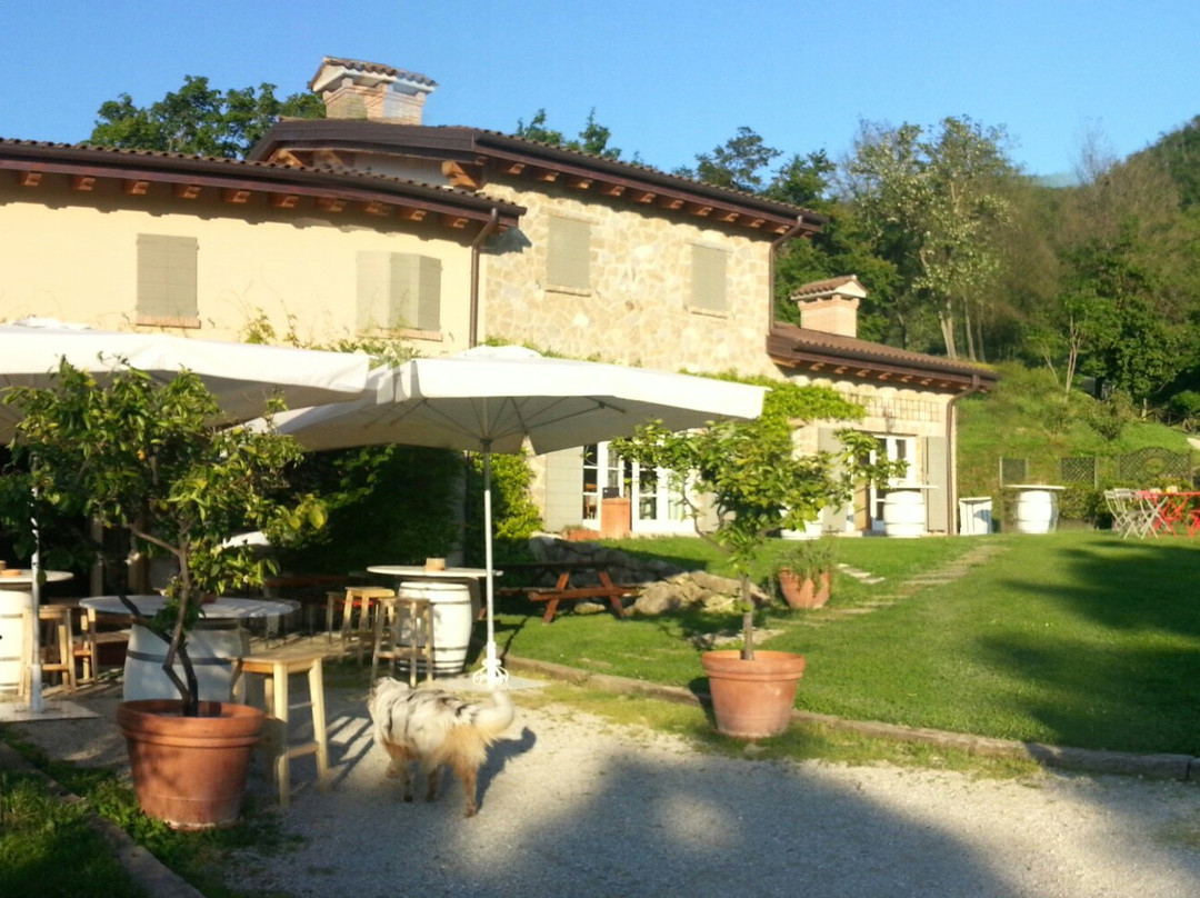Il Casale Al Colle景点图片