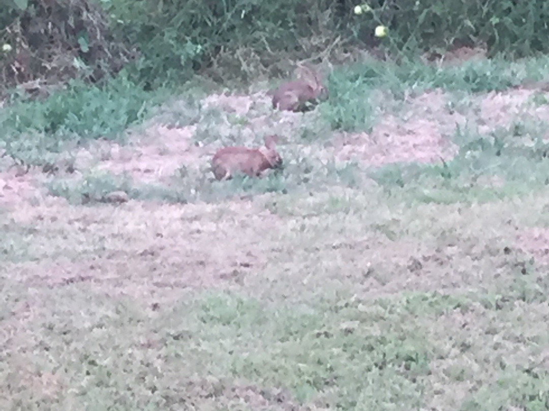 WhiteCliff B&B主图