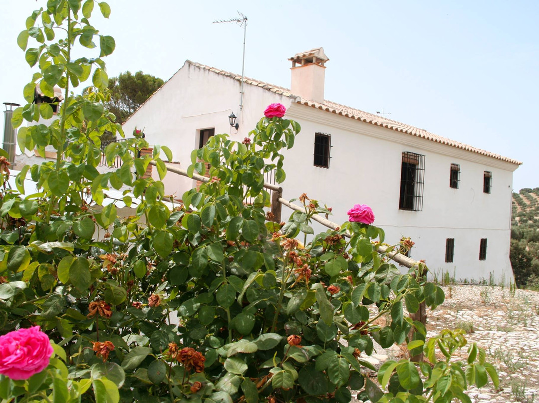 Cortijo Los Petronilos