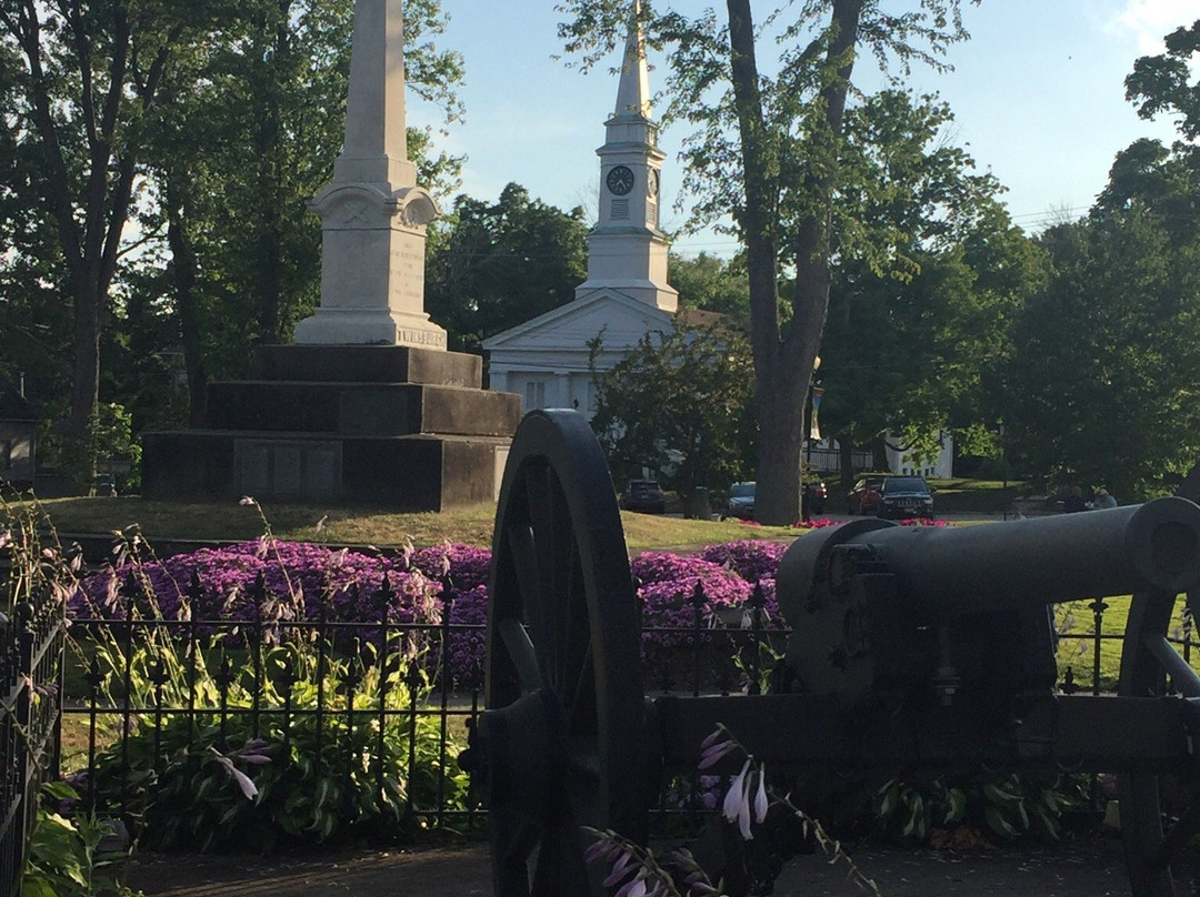 Liberty Park-特温斯堡必去景点