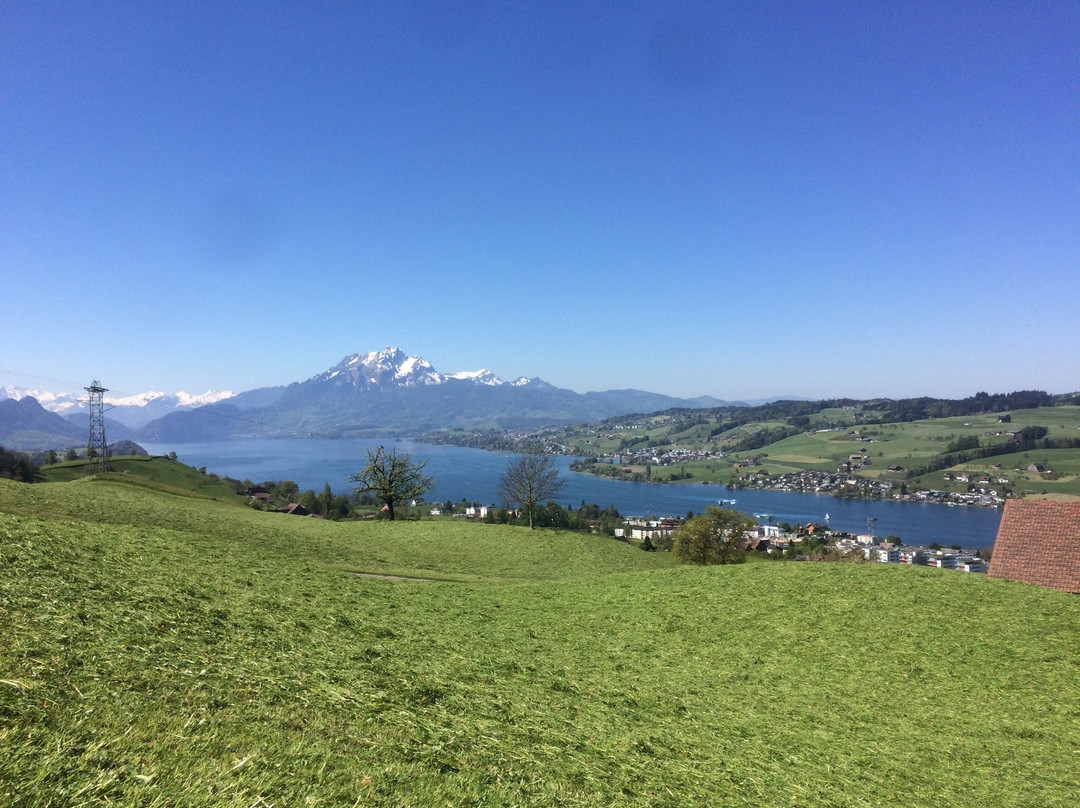 Seilpark Rigi