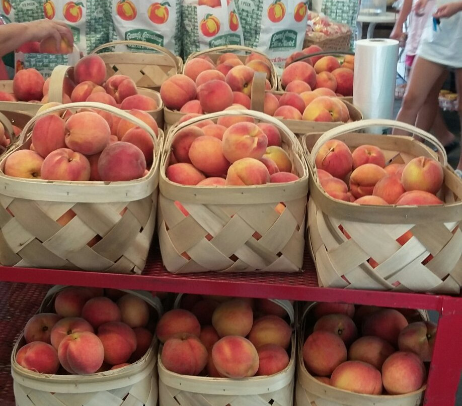 Grandy Greenhouse Farm Market-Grandy必去景点