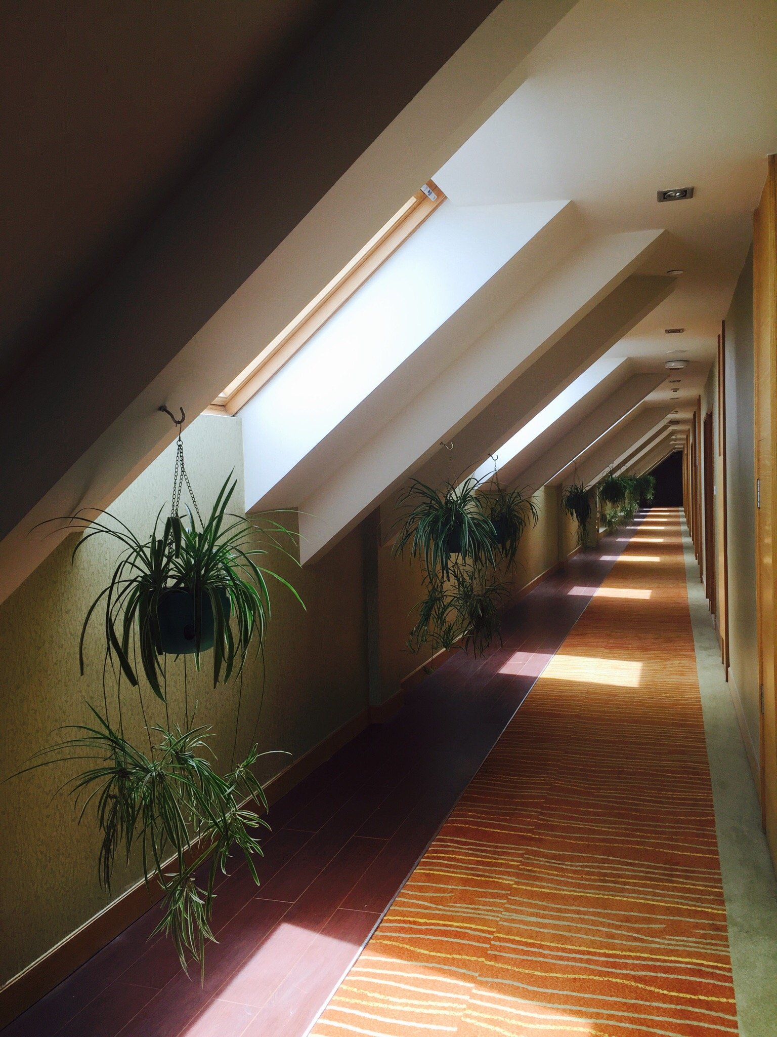 抚松长白山天域度假酒店-官方