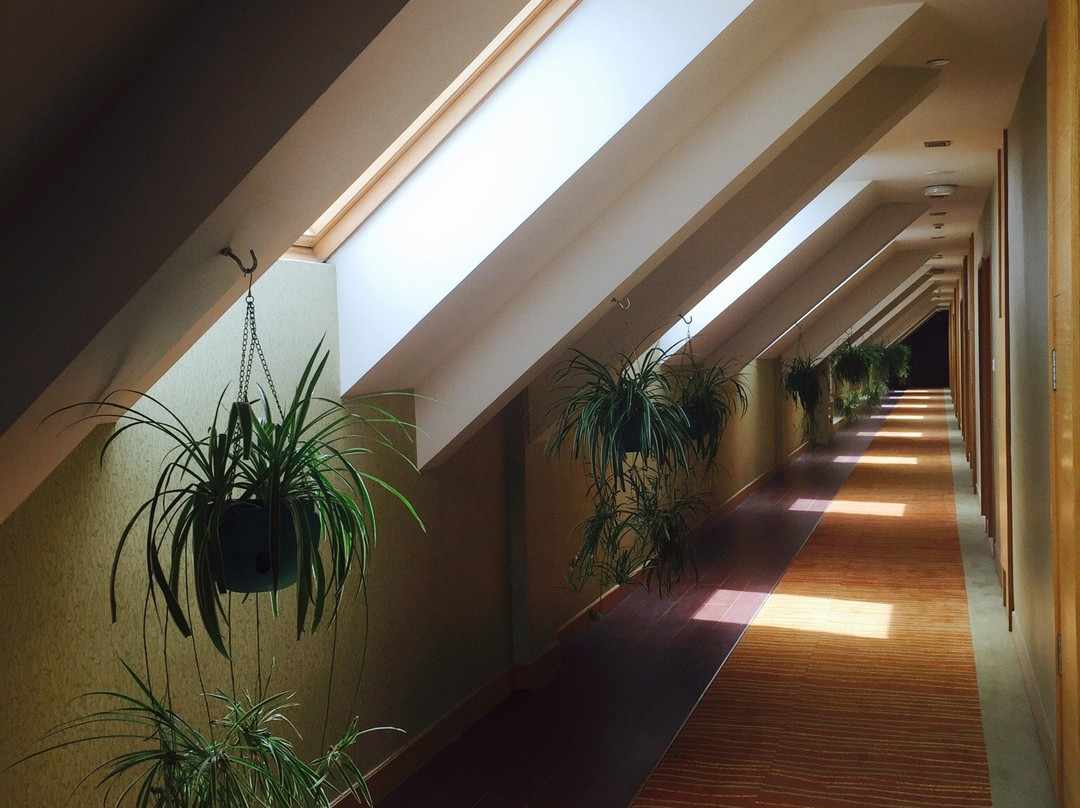 抚松县酒店住宿-抚松长白山天域度假酒店