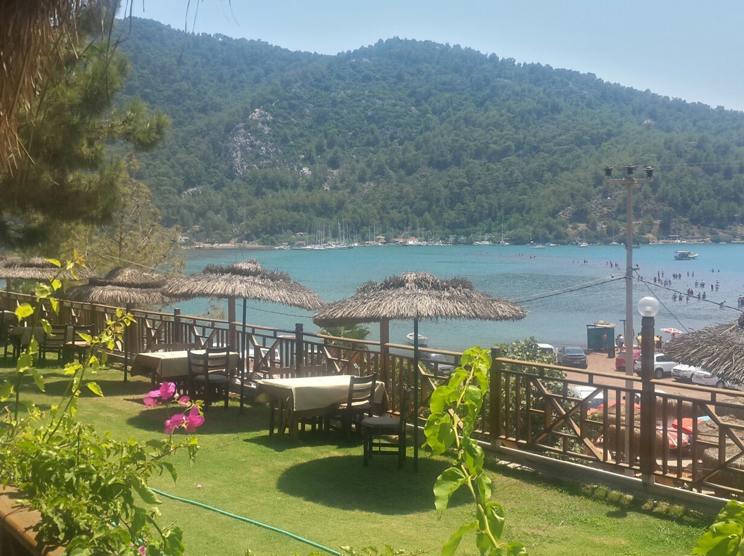 Azra's Bungalow Houses