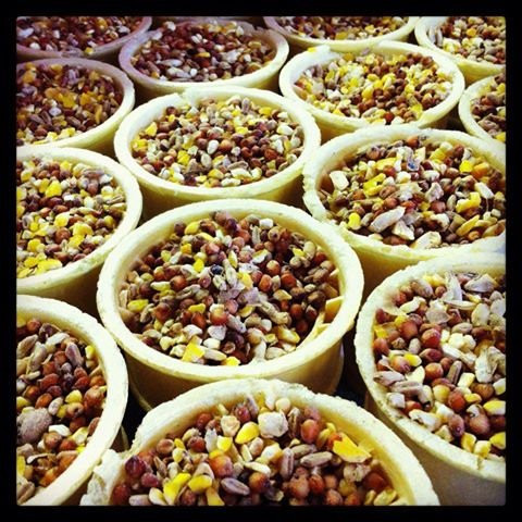 7 Acre Wood-Conroe必去景点