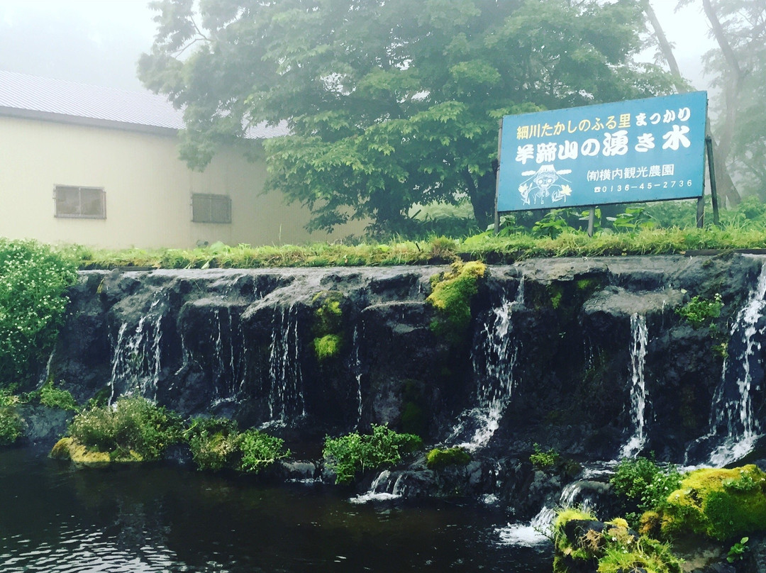 Mt. Yotei Spring Water景点图片