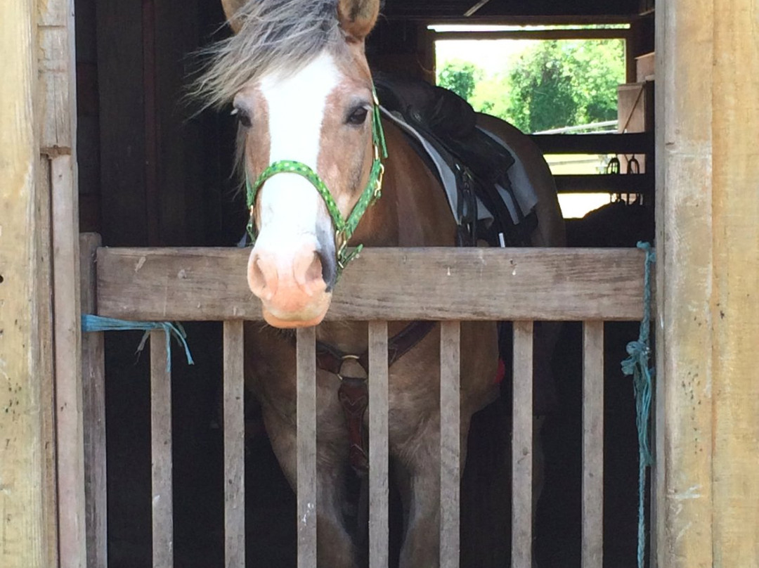 Rita's Stable-蒙托克必去景点