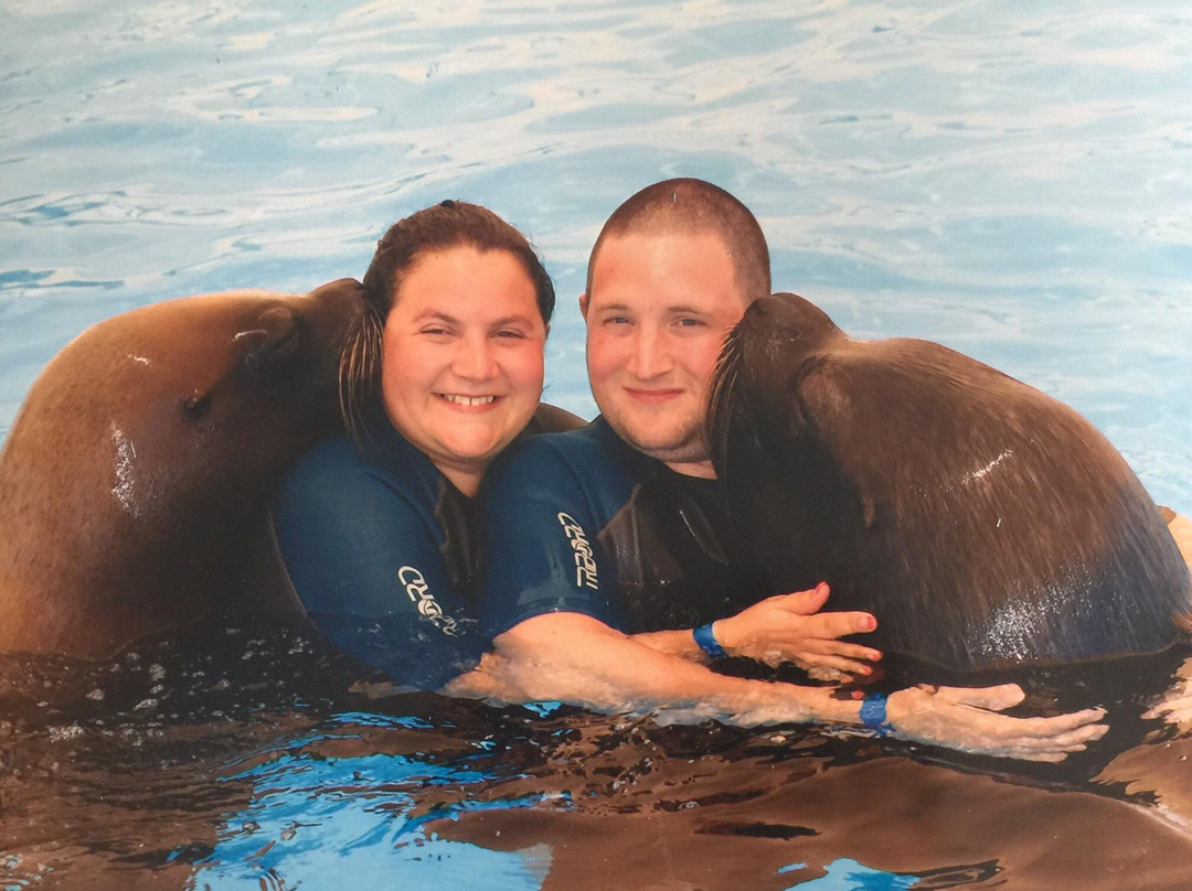 Swim With Sea Lions-夸尔泰拉必去景点