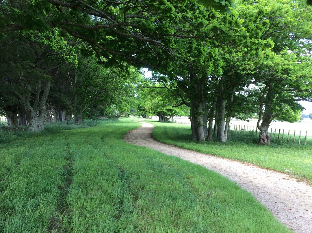 Greytown Woodside Trail景点图片