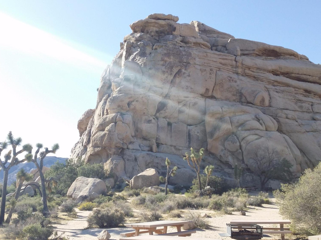 Joshua Tree Rock Climbing School-约书亚树国家公园必去景点