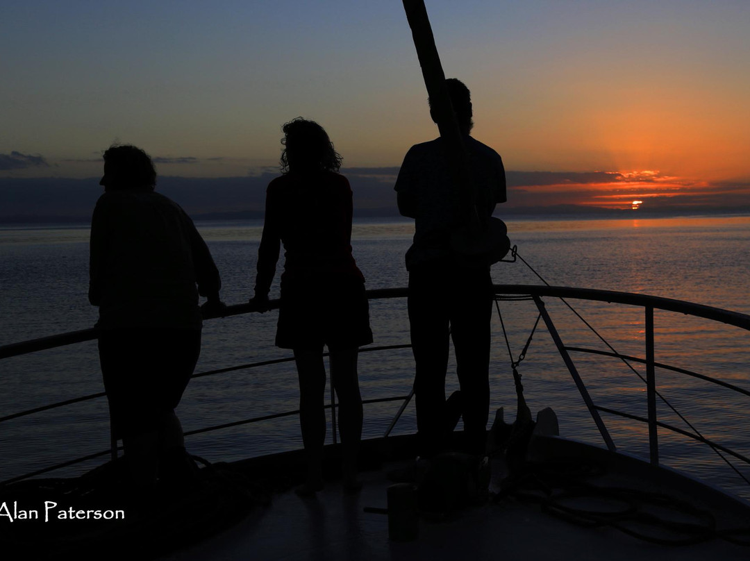 Oceanblue Adventures-Tutukaka必去景点