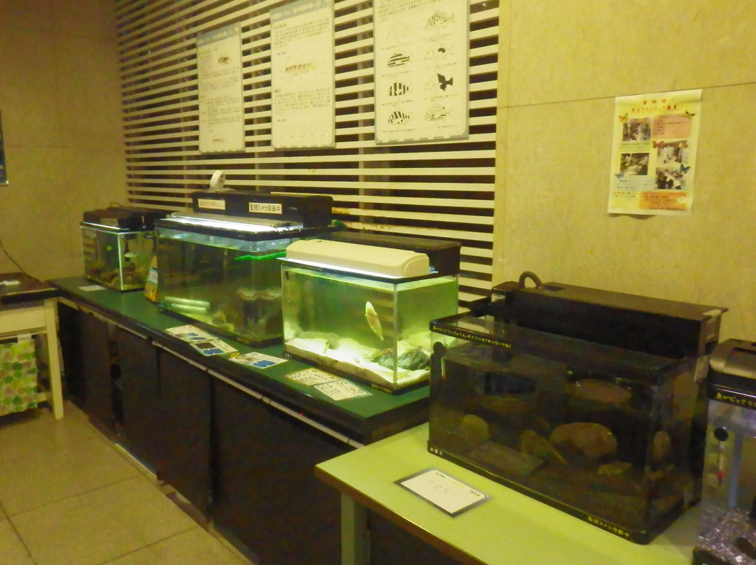 Nihon University College Museum of Bioresource Sciences-藤泽市必去景点