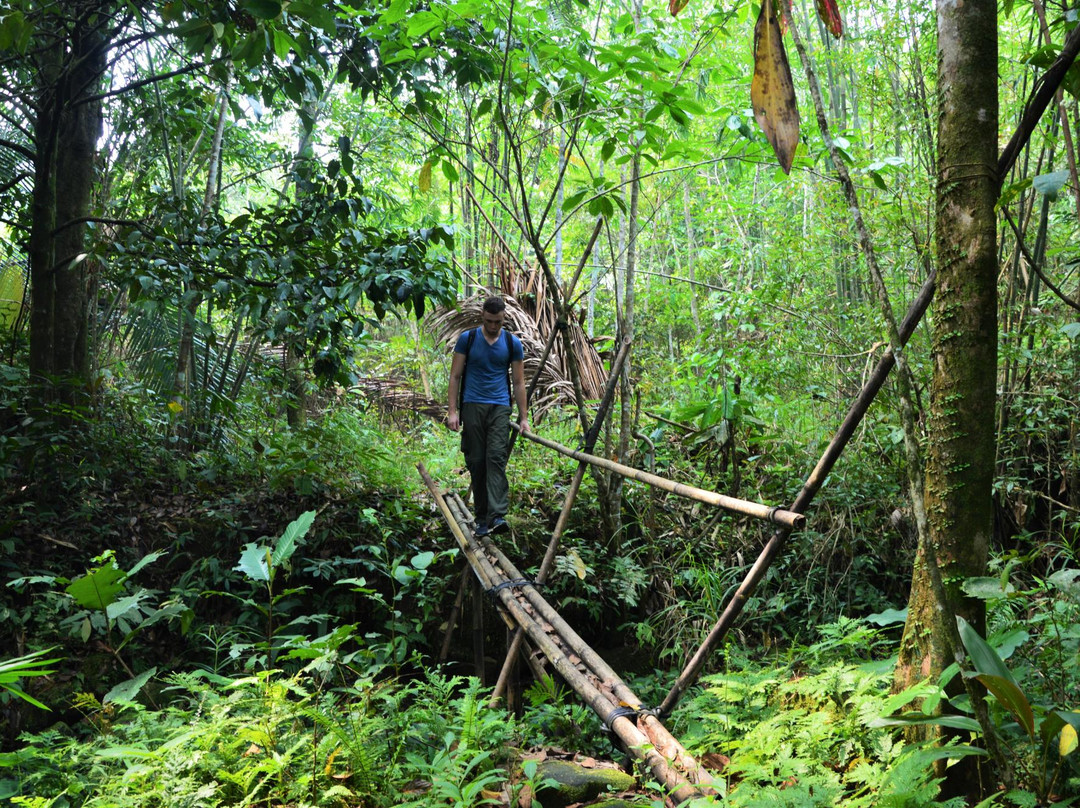 Backyard Tour-古晋必去景点