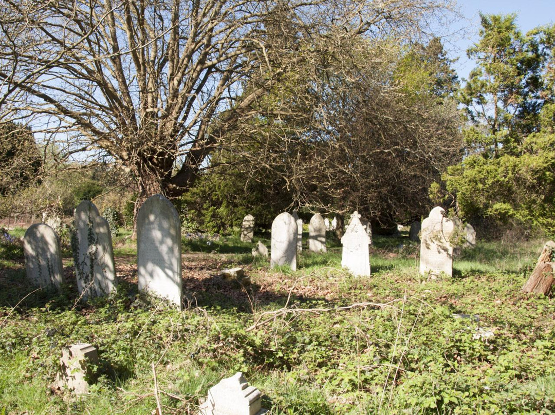 Southampton Old Cemetery景点图片