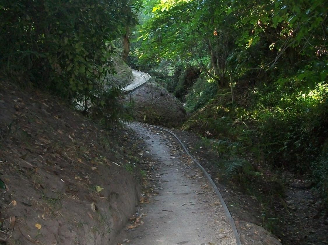 Karituwhenua Stream Walkway景点图片