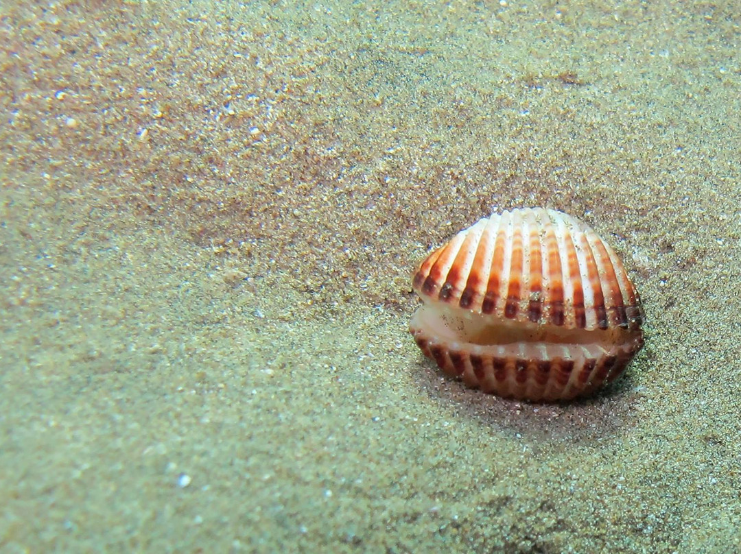 Dive Hub-法玛古斯塔必去景点