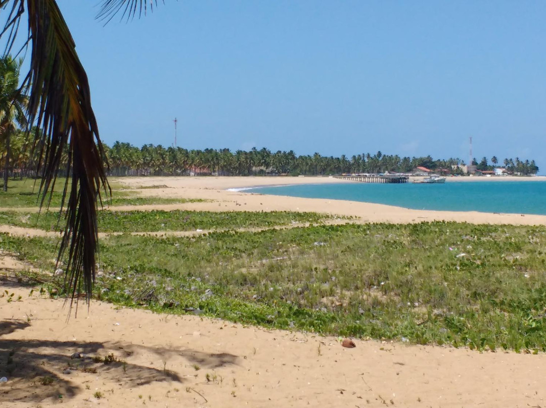 Boca da Barra Beach-Tamandare必去景点