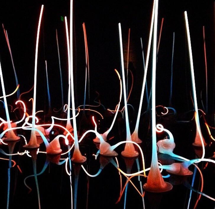 Electric Forest景点图片