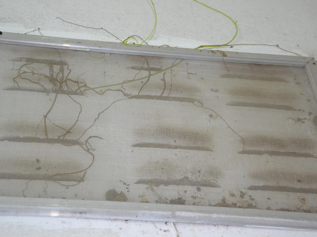 Sengkeo Guesthouse主图