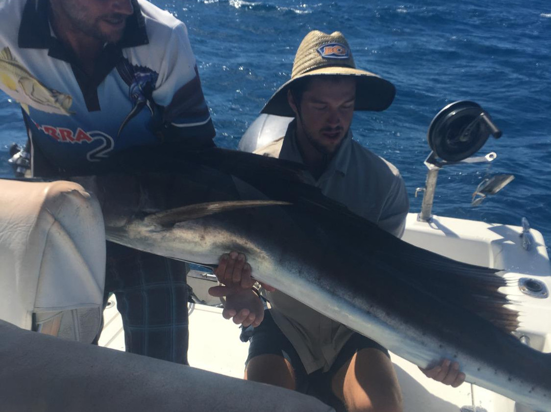 Barra 2 Billfish Fishing Charters景点图片