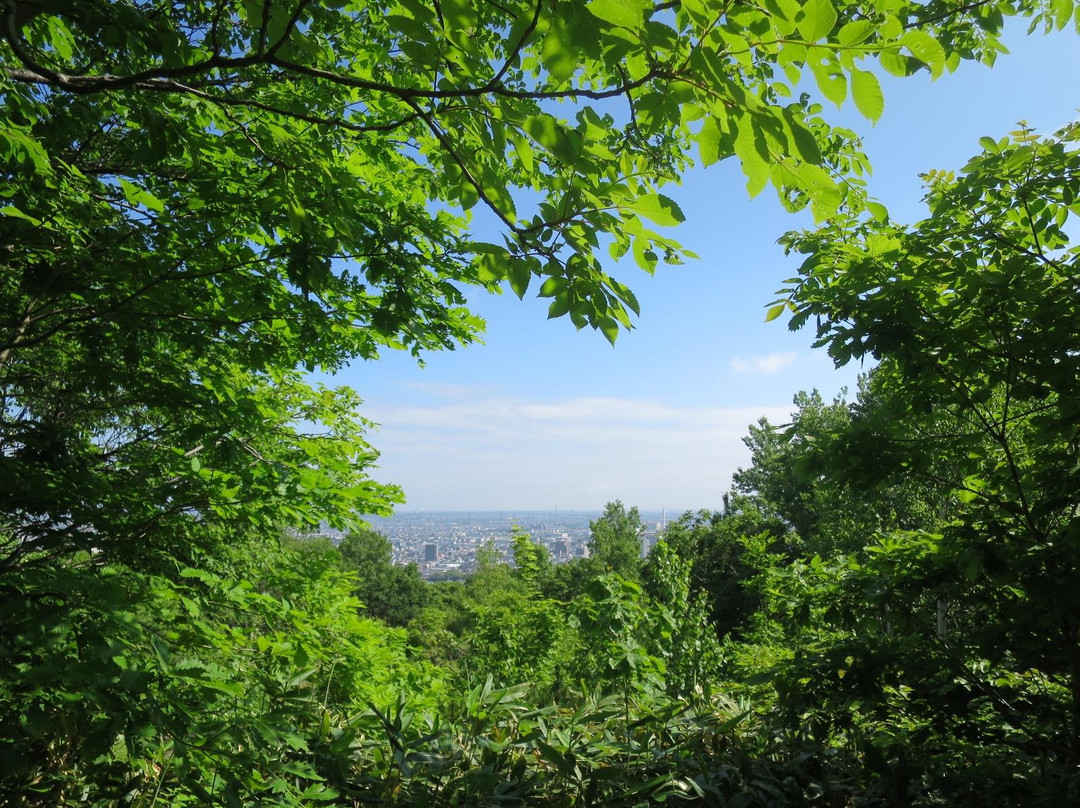 Miyanooka Park景点图片