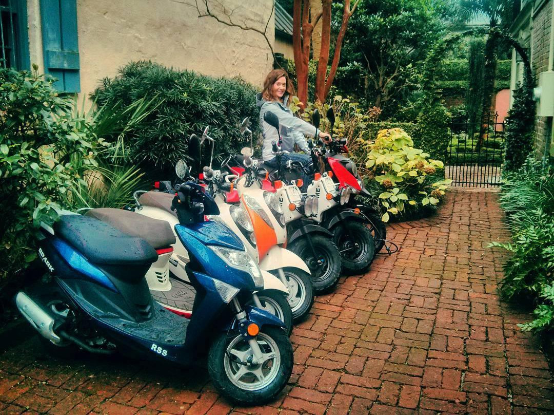 Port City Moped-棕榈岛必去景点